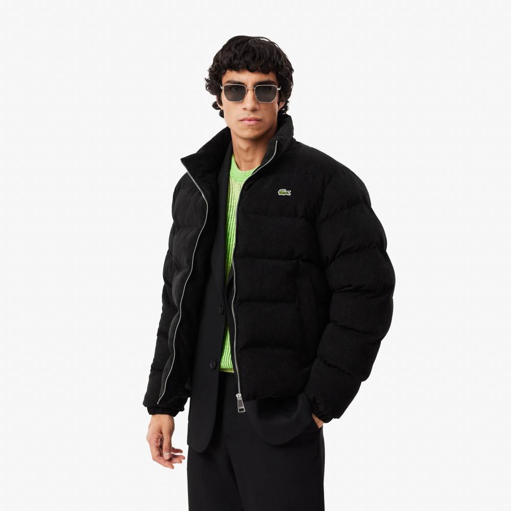 Doudoune matelassée velours Homme Lacoste noir