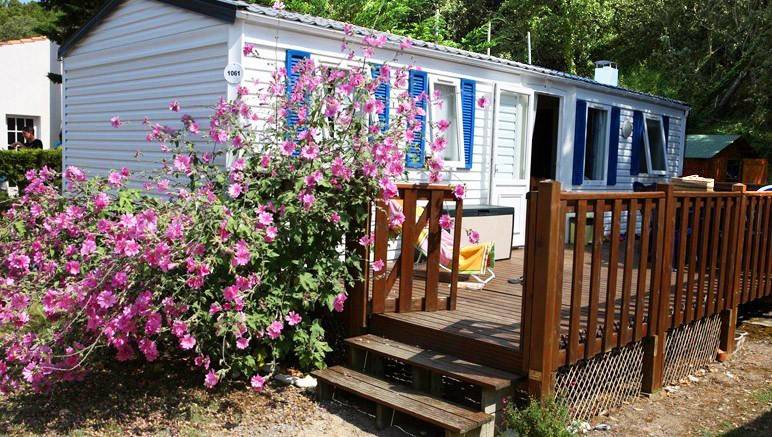 Camping L'Anse des Pins 4* Bord de Mer sur l'île d'Oléron 