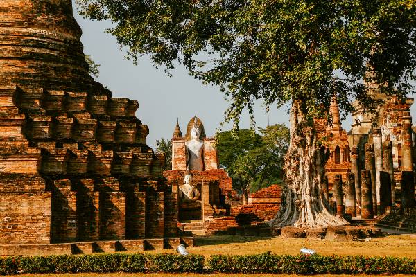 Circuit Orchidées de Bangkok au Triangle d'Or 10 jours/7 nuits