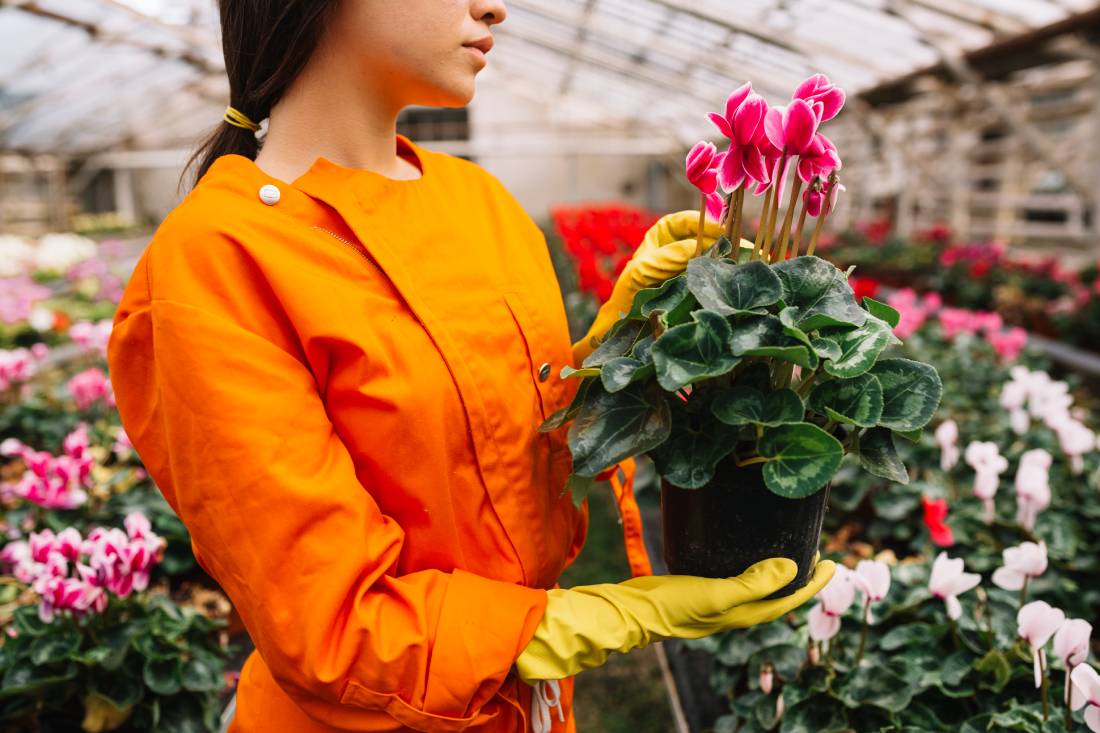 Exposition des fleuristes aux pesticides : « Ce qui nous a beaucoup surpris, c’est l’absence totale de prévention »