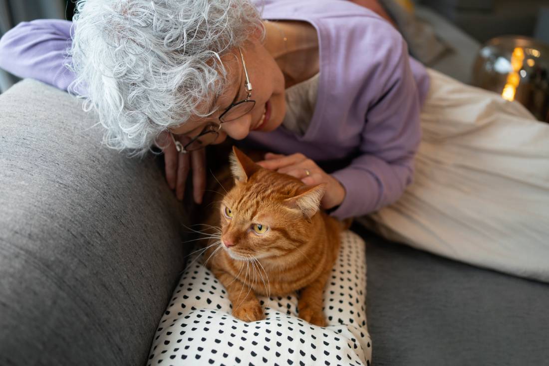 Quand les chats améliorent la qualité de vie au sein des Ehpad