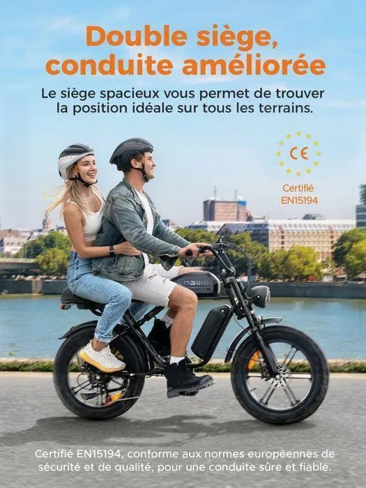 Vélo électrique ENGWE M1 25km/h Autonomie 170 km