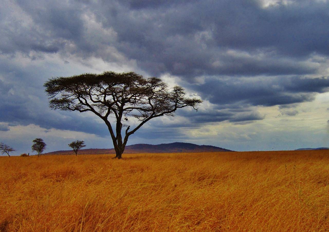 Les lacs de Tanzanie : Un patrimoine naturel à protéger