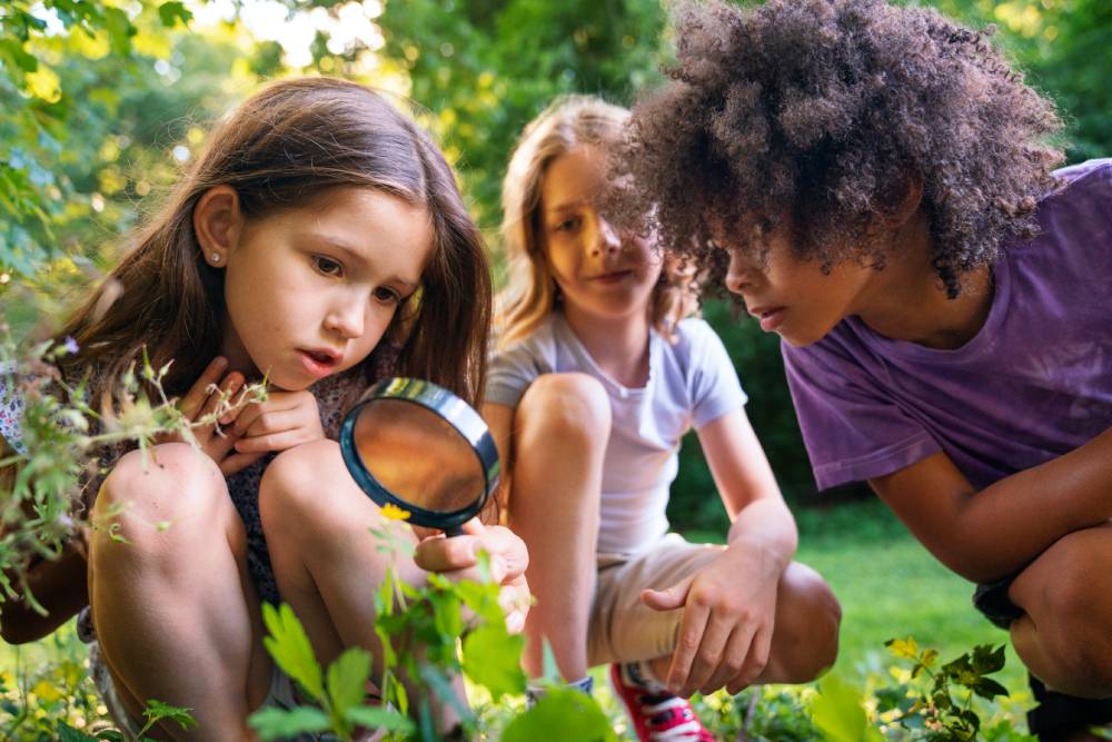 L’invention des colonies de vacances : apprendre à grandir ? 