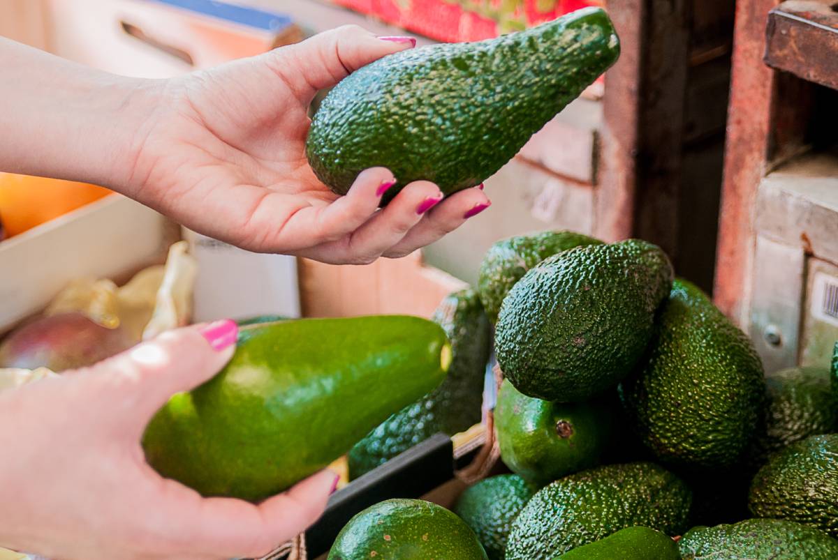 Voici pourquoi manger trop d'avocats est mauvais pour la planète 