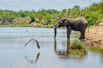 Les lacs de Tanzanie : Un patrimoine naturel à protéger.