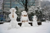 Où sont passés les bonhommes de neige ? La disparition de la neige, une perte culturelle